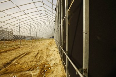 Modern sebzeleri inşa etmektir.