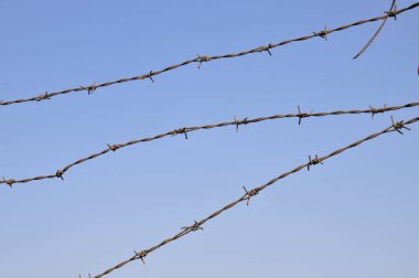 Paslı dikenli tel, mavi gökyüzü arkaplanı