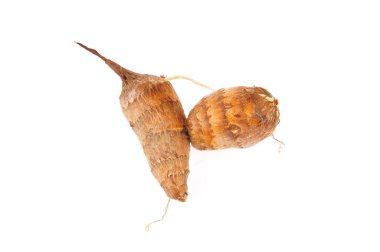 Beyaz arkaplanda Taro