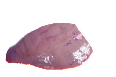 Beyaz arka planda taze domuz ciğeri.