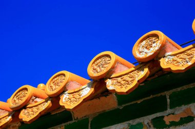 Bahar açan lale tarlası.