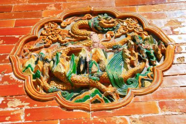 Bahar açan lale tarlası.