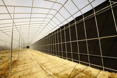 Modern sebzeleri inşa etmektir.