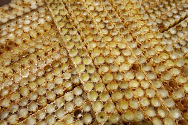 Bal peteği ve bal yakından atış