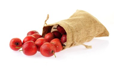 Beyaz arka planda Hawthorn