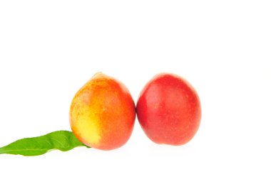 Beyaz arkaplanda şeftali