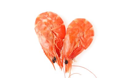 Beyaz arkaplanda karides