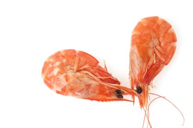 Beyaz arkaplanda karides