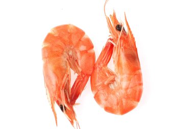 Beyaz arkaplanda karides