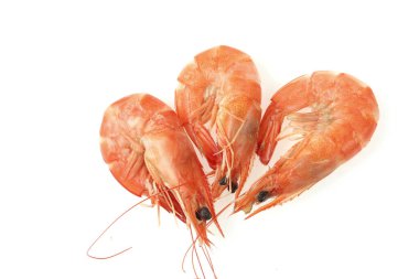 beyaz zemin üzerine taze karides