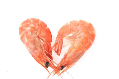 beyaz zemin üzerine taze karides