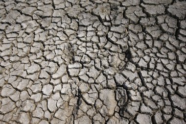 İklim ısınması kurumuş topraklar 