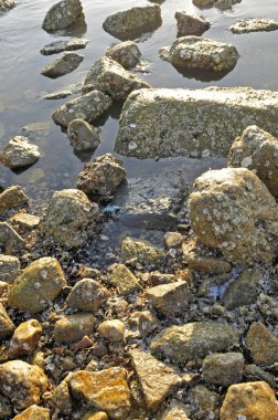 Kış denizi buz ve çakıl taşları 