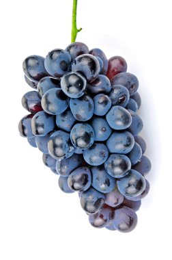 Beyaz arkaplanda üzümler 