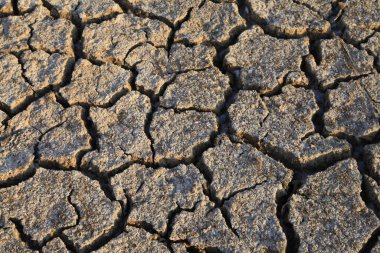 İklim ısınması kurumuş topraklar 