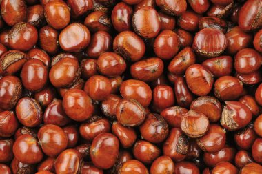 Bir sürü olgun kestane.