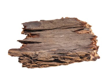 Beyaz arka planda çam kabuğu