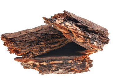 Beyaz arka planda çam kabuğu