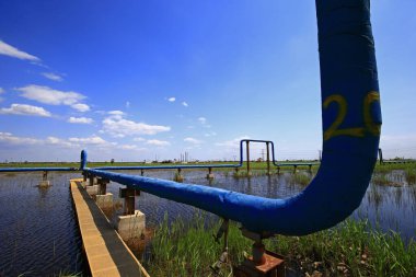 Yağ boruları ve vanalar