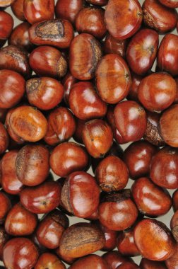 Olgun kestaneler bir arada.