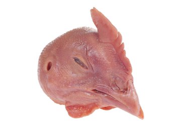 Beyaz arka planda taze tavuk kafası