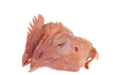 Beyaz arka planda taze tavuk kafası