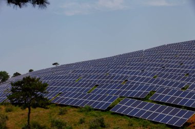Güneş panelleri yamaçta, enerji tasarrufu yapıyorlar..