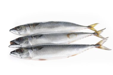 Beyaz arka plandaki balıklar.