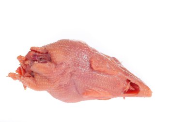 Beyaz arka planda taze tavuk kafası