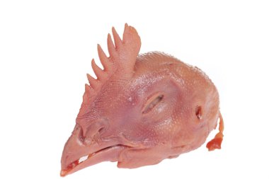 Beyaz arka planda taze tavuk kafası