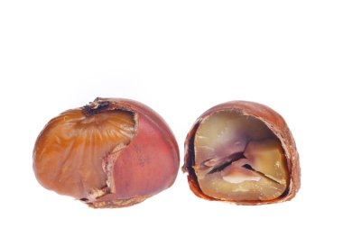 Kestaneler beyaz arkaplanda