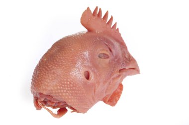 Beyaz arka planda taze tavuk kafası