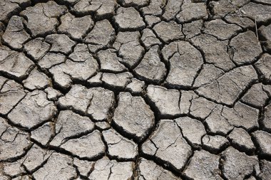 İklim ısınması kurumuş topraklar 