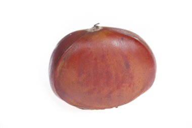 Kestaneler beyaz arkaplanda