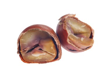 Kestaneler beyaz arkaplanda