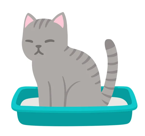 Cartoon Gray Tabby Cat Pooping Litterbox Cute Funny Kitty Drawing — Stock Vector