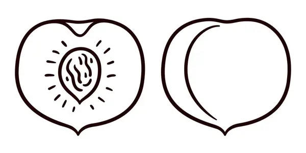 Handgezeichnetes Pfirsich Doodle Schwarz Weiß Linienkunst Ganze Und Geschnittene Früchte lizenzfreie Stockvektoren