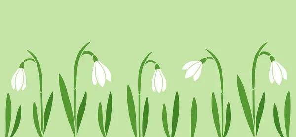 Schneeglöckchenblumen Niedliches Frühlingsbanner Auf Grünem Hintergrund Einfache Flache Zeichentrickvektorillustration Vektorgrafiken