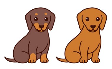 İki çizgi film Dachshun oturuyor, siyah ve kahverengi. Sevimli köpek çizimi, basit vektör çizimi.