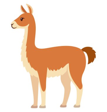 Guanaco (Lama guanicoe) vahşi Güney Amerika Lama. Şirin çizgi film vektör illüstrasyonu.