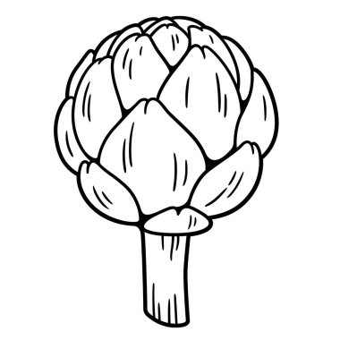 Enginar el çizimi, siyah beyaz çizim. Vektör clipart illüstrasyonu.