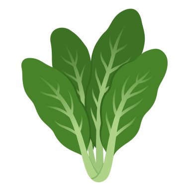 İsviçre pazısı, yapraklı yeşil sebze. Çizgi film vektör biçimi clipart illüstrasyonu.