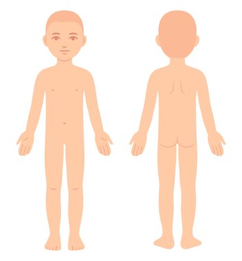 Çıplak çocuk bedeni çizelgesi, ön ve arka manzara. Tıbbî bilgiler için boş bir uniseks çocuk vücut şablonu. İzole vektör illüstrasyonu.