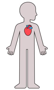 Anatomik kalbi olan karikatür insan vücudu silueti. Kardiyovasküler sağlık, duygular ve duygular. Vektör clipart illüstrasyonu.