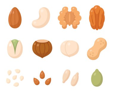 Ceviz ve tohum ikonu seti. Badem, ceviz, fıstık, fındık, macadamia, ceviz, kaju. Basit çizgi film simgeleri, izole vektör klipsi sanat illüstrasyonu.
