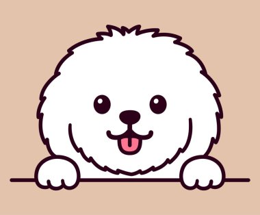 Şirin çizgi film Maltese, Bichon Frise, küçük pofuduk beyaz köpek kafasını ve pençelerini dikizliyor. Komik vektör klibi resim çizimi.