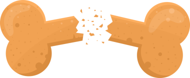 Bir resim, parçalanmış, bronzlaşmış, bronzlaşmış kemik aperatiflerini gösterir. Kemiğin bölümleri ayrılır. Kırığın etrafına saçılmış küçük parçalar kemiğin kırılganlığını sembolize eder..