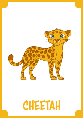 Kahverengi benekli ve turuncu kürklü şirin bir çita, sarı bir sınır tarafından çerçevelenmiş temiz beyaz bir zemin üzerinde duruyor. Bu da onu vahşi yaşam hakkında eğitici materyaller için uygun kılıyor..