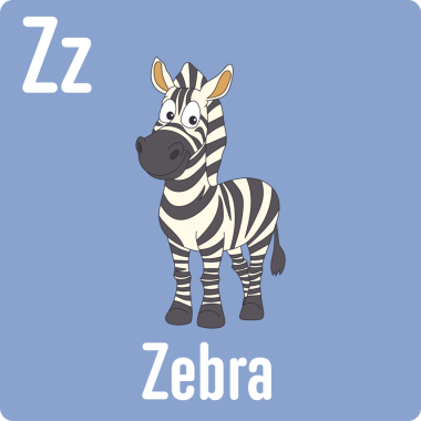 Çizgi film tarzı bir illüstrasyonda siyah beyaz çizgili bir zebra mavi bir zemin üzerinde yer alır. Zz harfleri sol üstte belirgin bir şekilde belirirken, Zebra kelimesi altta gösterilir.