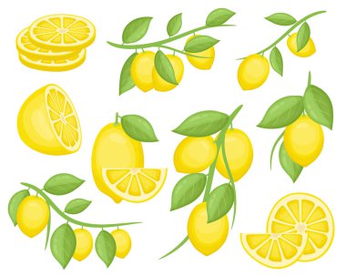 Limon meyvesi tasarımı illüstrasyonu